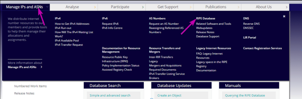 RIPE Database menu shortcut highlighted in RIPE's Manage IPs and ASNs menu.