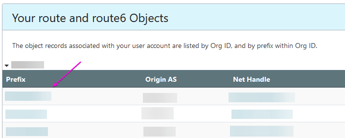 Prefix list in ARIN's Your route and route6 Objects menu.