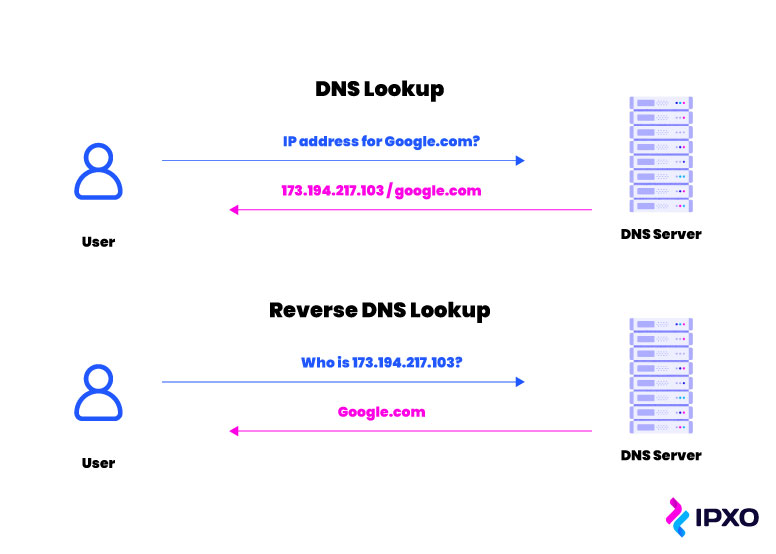 Image demonstrating the difference between DNS lookup and reverse DNS lookup.