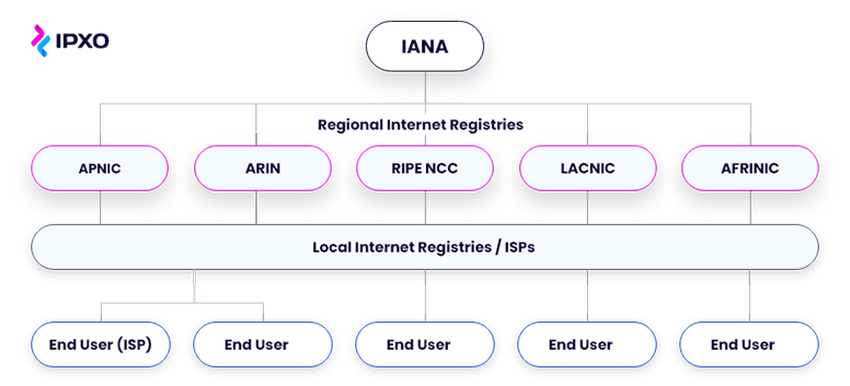Tree chart shows how IANA splits the entire pool of IPv4 addresses.