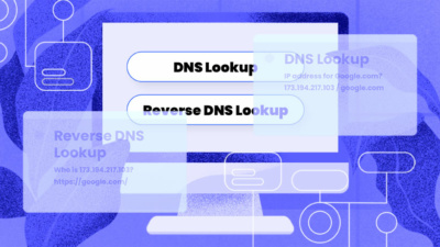 What is reverse domain name system, rDNS?
