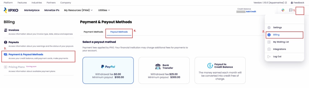 Payment & Payout Methods menu in the IPXO Portal.