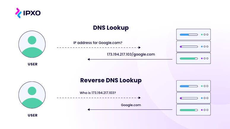 DNS server lookup is the process of translating a domain name to its corresponding IP address, while reverse DNS lookup does the opposite, mapping an IP address to its associated domain name, for example, converting Google's domain into an IP address and vice versa.