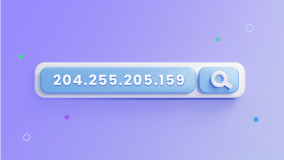 A featured image for Who Owns Public IP Addresses, showing looking up an IP address