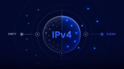 A visual of dirty vs clean IP address
