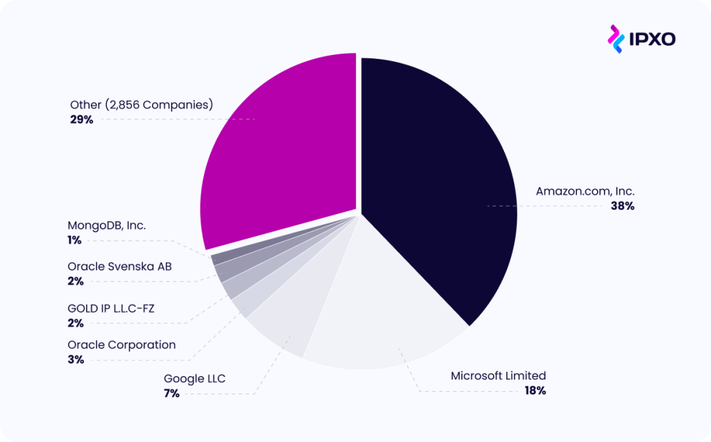 Leading IPv4 Acquirers in 2024
